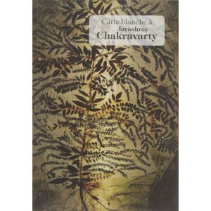 Reunion Des Musees Nationaux Carte blanche a jayashree chakravarty Reunion Des Musees Nationaux Carte blanche a jayashree chakravarty