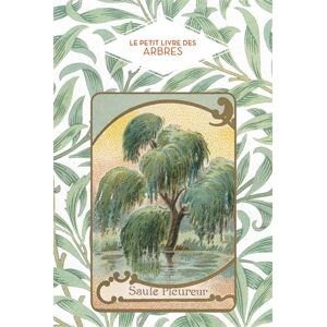 Papier Cadeau Le petit livre des arbres Papier Cadeau Le petit livre des arbres