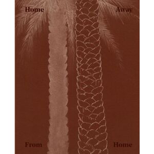 Aperture Taysir Batniji : Home Away from Home /franCais/anglais Aperture Taysir Batniji : Home Away from Home /franCais/anglais