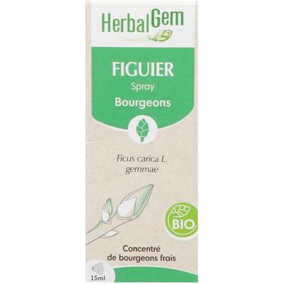 Herbalgem Figuier Bio Spray 15ml Herbalgem Figuier Bio Spray 15ml