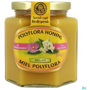 Melapi Polyflora+gelee Royale 500g 5534 Revogan Melapi Polyflora+gelee Royale 500g 5534 Revogan