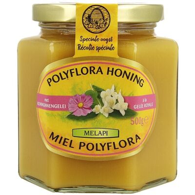 Melapi Polyflora+gelee Royale 500g 5534 Revogan Melapi Polyflora+gelee Royale 500g 5534 Revogan