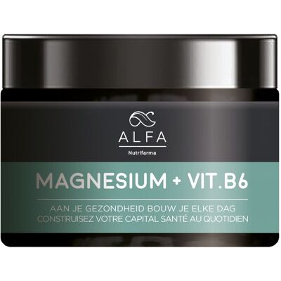 ALFA Magnesium + Vit B6 V-caps 90 ALFA Magnesium + Vit B6 V-caps 90