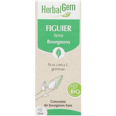 Herbalgem Figuier Bio Spray 15ml Herbalgem Figuier Bio Spray 15ml