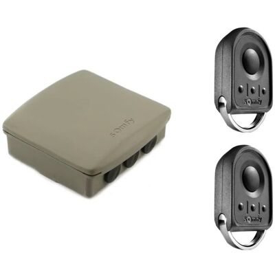 Kit SOMFY RTS récepteur + 2 télécommandes Keygo Kit SOMFY RTS récepteur + 2 télécommandes Keygo