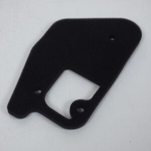 Filtre À Air Athena Pour Scooter Yamaha 50 Cw Bw-S Easy 2013-2013 S410485200003 Neuf Filtre À Air Athena Pour Scooter Yamaha 50 Cw Bw-S Easy 2013-2013 S410485200003 Neuf