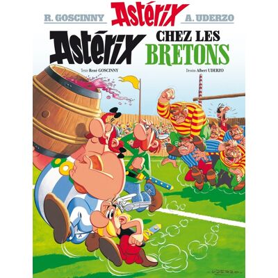 Hachette Astérix tome 8 - astérix chez les bretons Hachette Astérix tome 8 - astérix chez les bretons