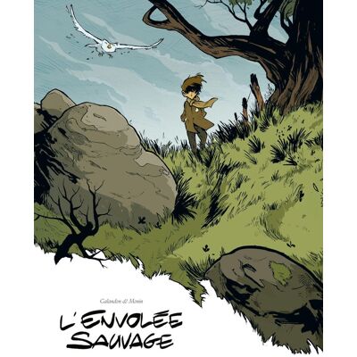 BAMBOO L'envolée sauvage tome 1 BAMBOO L'envolée sauvage tome 1