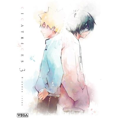 Vega+ Cicatrices tome 3 Vega+ Cicatrices tome 3