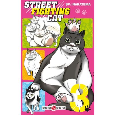 Bamboo Street fighting cat tome 3 Bamboo Street fighting cat tome 3