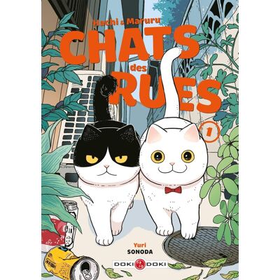 Bamboo Hachi & Maruru - Chats des rues tome 1 Bamboo Hachi & Maruru - Chats des rues tome 1