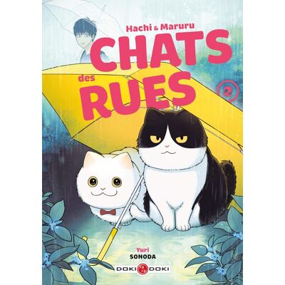 Bamboo Hachi & Maruru - Chats des rues tome 2 Bamboo Hachi & Maruru - Chats des rues tome 2