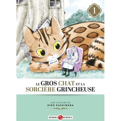 Bamboo Le gros chat et la sorcière grincheuse tome 1 Bamboo Le gros chat et la sorcière grincheuse tome 1