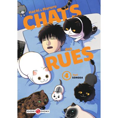 BAMBOO Hachi & Maruru - Chats des rues tome 4 BAMBOO Hachi & Maruru - Chats des rues tome 4