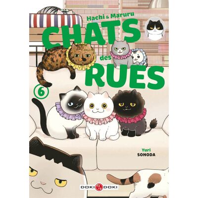 BAMBOO Hachi & Maruru - Chats des rues tome 6 BAMBOO Hachi & Maruru - Chats des rues tome 6