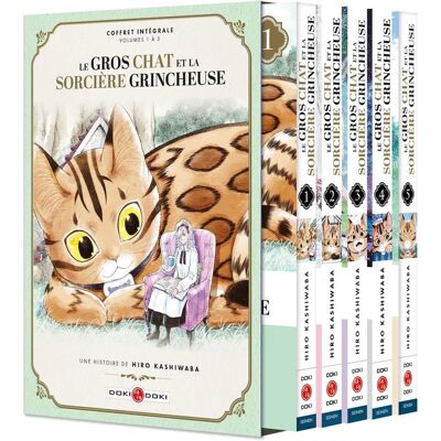 Bamboo Le gros chat et la sorcière grincheuse - coffret tomes 1 à 5 Bamboo Le gros chat et la sorcière grincheuse - coffret tomes 1 à 5