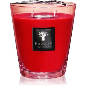 Baobab Collection All Seasons Masaai Spirit bougie parfumée 1000 g Baobab Collection All Seasons Masaai Spirit bougie parfumée 1000 g