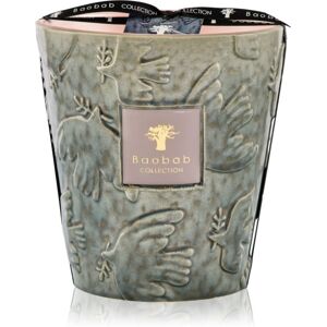 Baobab Collection Paz Colombe bougie parfumée 1000 g Baobab Collection Paz Colombe bougie parfumée 1000 g