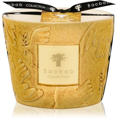 Baobab Collection Paz Dove bougie parfumée 500 g Baobab Collection Paz Dove bougie parfumée 500 g