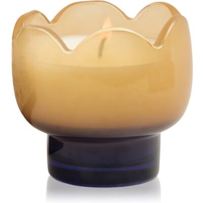 Paddywax Tulip Garden & Grove bougie parfumée 155 g Paddywax Tulip Garden & Grove bougie parfumée 155 g