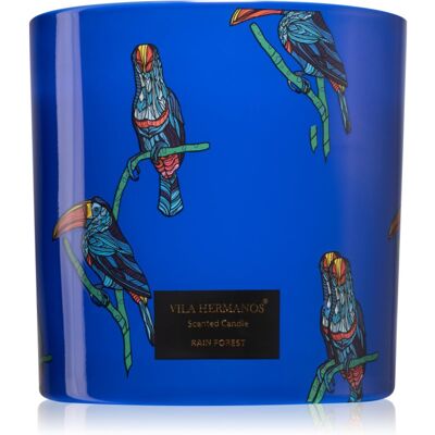 Vila Hermanos Jungletopia Rain Forest bougie parfumée 620 g Vila Hermanos Jungletopia Rain Forest bougie parfumée 620 g
