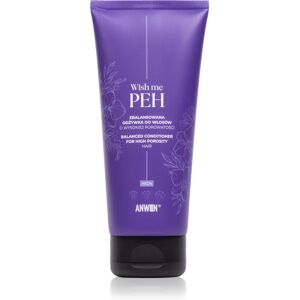 Anwen Wish me PEH Balanced Conditioner for Highly Porosity Hair après-shampoing pour cheveux poreux 200 ml Anwen Wish me PEH Balanced Conditioner for Highly Porosity Hair après-shampoing pour cheveux poreux 200 ml
