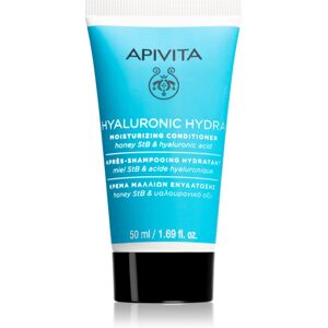 Après-shampoing Hydratant à l'Acide Hyaluronique - Soin Capillaire Après-shampoing Hydratant à l'Acide Hyaluronique - Soin Capillaire