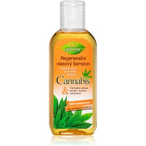 Shampoo régénérant Cannabis de Bione Cosmetics - Shampoo Shampoo régénérant Cannabis de Bione Cosmetics - Shampoo