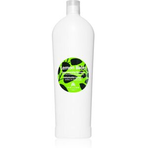 Shampoing Nettoyage en Profondeur à la Mélisse au Citron - Shampooing Shampoing Nettoyage en Profondeur à la Mélisse au Citron - Shampooing