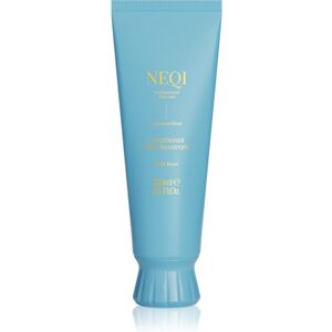 NEQI Build Boost Conditioner après-shampoing fortifiant pour cheveux colorés et méchés 250 ml NEQI Build Boost Conditioner après-shampoing fortifiant pour cheveux colorés et méchés 250 ml