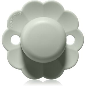 Suavinex Marque SX Pro Sucette Physiologique - Presque Aqua Suavinex Marque SX Pro Sucette Physiologique - Presque Aqua