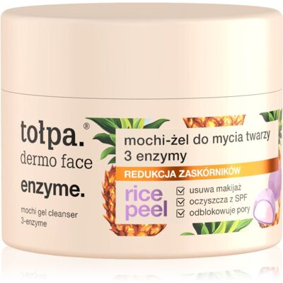 Tołpa Dermo Face Enzyme gel nettoyant 110 ml Tołpa Dermo Face Enzyme gel nettoyant 110 ml