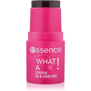 essence WHAT A TINT! produit multifonctionnel lèvres et visage teinte 10 Raspberry Vibes 5 g essence WHAT A TINT! produit multifonctionnel lèvres et visage teinte 10 Raspberry Vibes 5 g