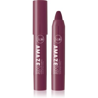 J.Cat Beauty Amaze Me crayon à lèvres texture crémeuse teinte 105 Thank You 637 4 g J.Cat Beauty Amaze Me crayon à lèvres texture crémeuse teinte 105 Thank You 637 4 g