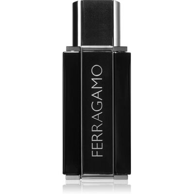 Ferragamo Sublime Leather Eau de Parfum pour homme 50 ml Ferragamo Sublime Leather Eau de Parfum pour homme 50 ml