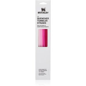 Stanley The Quencher Tumbler Straws paille de rechange 890 ml Pink 4 pcs Stanley The Quencher Tumbler Straws paille de rechange 890 ml Pink 4 pcs