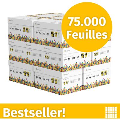 Infowerk Papier pour imprimante Papier à copier 75000 feuilles 150 x 500 A4 Premium extra-blanc CIE 160 Certifié PEFC Infowerk Papier pour imprimante Papier à copier 75000 feuilles 150 x 500 A4 Premium extra-blanc CIE 160 Certifié PEFC