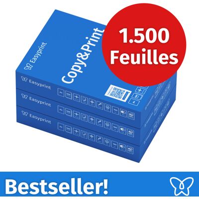 NOUVEAU ! Easyprint Papier d'impression Papier à copier 1500 feuilles 3 x 500 A4 Premium extra-blanc CIE 160 Certifié PEFC NOUVEAU ! Easyprint Papier d'impression Papier à copier 1500 feuilles 3 x 500 A4 Premium extra-blanc CIE 160 Certifié PEFC