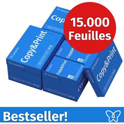 NOUVEAU ! Easyprint Papier d'impression Papier à copier 15000 feuilles 30 x 500 A4 Premium extra-blanc CIE 160 Certifié PEFC NOUVEAU ! Easyprint Papier d'impression Papier à copier 15000 feuilles 30 x 500 A4 Premium extra-blanc CIE 160 Certifié PEFC
