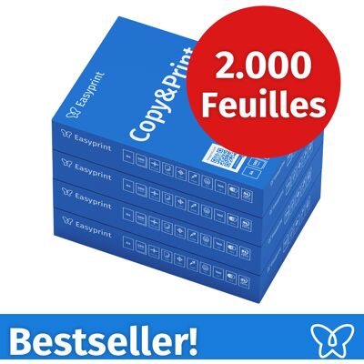 NOUVEAU ! Easyprint Papier d'impression Papier à copier 2000 feuilles 4 x 500 A4 Premium extra-blanc CIE 160 Certifié PEFC NOUVEAU ! Easyprint Papier d'impression Papier à copier 2000 feuilles 4 x 500 A4 Premium extra-blanc CIE 160 Certifié PEFC