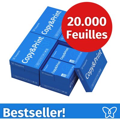 NOUVEAU ! Easyprint Papier d'impression Papier à copier 20000 feuilles 40 x 500 A4 Premium extra-blanc CIE 160 Certifié PEFC NOUVEAU ! Easyprint Papier d'impression Papier à copier 20000 feuilles 40 x 500 A4 Premium extra-blanc CIE 160 Certifié PEFC