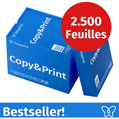 NOUVEAU ! Easyprint Papier d'impression Papier à copier 2500 feuilles 5 x 500 A4 Premium extra-blanc CIE 160 Certifié PEFC NOUVEAU ! Easyprint Papier d'impression Papier à copier 2500 feuilles 5 x 500 A4 Premium extra-blanc CIE 160 Certifié PEFC