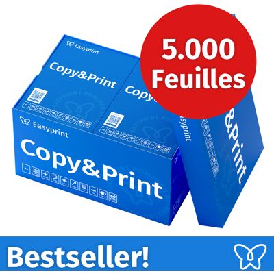 NOUVEAU ! Easyprint Papier d'impression Papier à copier 5000 feuilles 10 x 500 A4 Premium extra-blanc CIE 160 Certifié PEFC NOUVEAU ! Easyprint Papier d'impression Papier à copier 5000 feuilles 10 x 500 A4 Premium extra-blanc CIE 160 Certifié PEFC