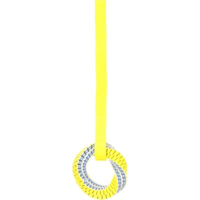 Anneau de corde lumineuse Flamingo Glow - Jouet pour chiens - Visibilité nocturne Anneau de corde lumineuse Flamingo Glow - Jouet pour chiens - Visibilité nocturne
