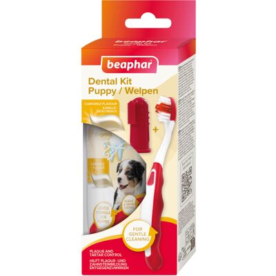 set : brosse à dents + brosse à doigts + dentifrice beaphar Kit de soins dentaires pour chiot set : brosse à dents + brosse à doigts + dentifrice beaphar Kit de soins dentaires pour chiot