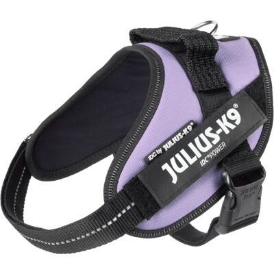 Harnais IDC Power Lilas Julius-K9 - Sécurité pour Chiens Harnais IDC Power Lilas Julius-K9 - Sécurité pour Chiens