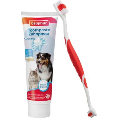 Lot beaphar Brosse à dent + dentifrice pour chien et chat - brosse à dents + dentifrice (100 g) Lot beaphar Brosse à dent + dentifrice pour chien et chat - brosse à dents + dentifrice (100 g)