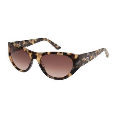 Lunettes de soleil Billabong Hopey Marron Unique Heren Lunettes de soleil Billabong Hopey Marron Unique Heren