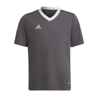 T-shirt enfant adidas Entrada 22 Jsy Gris EU S,EU M,EU L,EU XS,EU XXS Jongens T-shirt enfant adidas Entrada 22 Jsy Gris EU S,EU M,EU L,EU XS,EU XXS Jongens