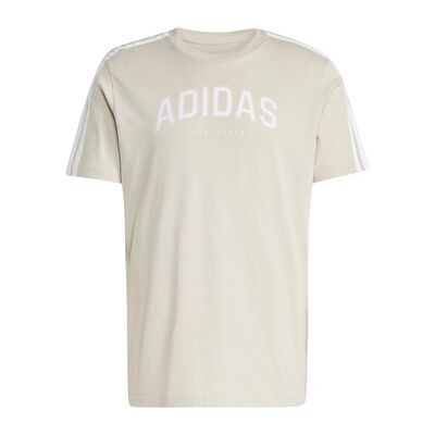 Polo adidas M C COLLEG TEE Beige EU S,EU M,EU L,EU XL Heren Polo adidas M C COLLEG TEE Beige EU S,EU M,EU L,EU XL Heren